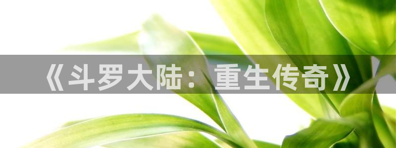 www日韩漫画：《斗罗大陆：重生传奇》