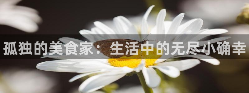 漫画韩漫入口在线观看：孤独的美食家：生活中的无尽小确幸