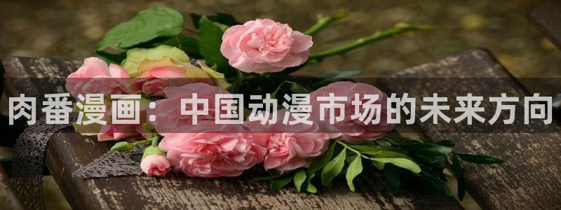 韩漫无删减在线漫画最新：肉番漫画：中国动漫市场的未来方向