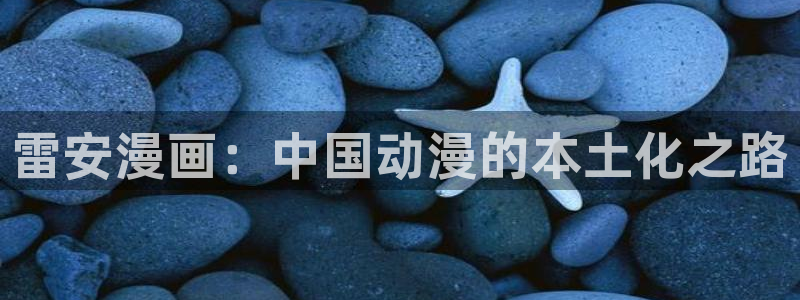 韩漫大全免费漫画页面在线看漫画：雷安漫画：中国动漫的本土化之路