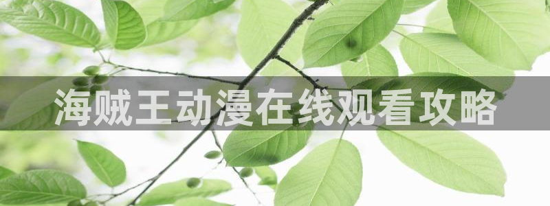 肉肉韩漫画：海贼王动漫在线观看攻略