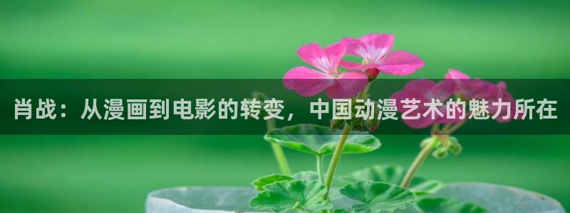 韩漫网免费看：肖战：从漫画到电影的转变，中国动漫艺术的魅力所在