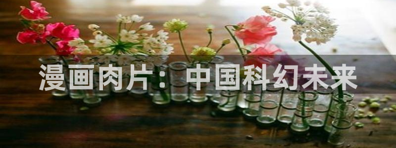 韩国漫画韩漫无遮羞顶点韩漫：漫画肉片：中国科幻未来