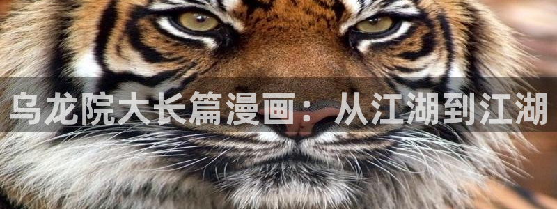 漫蛙 韩漫：乌龙院大长篇漫画：从江湖到江湖