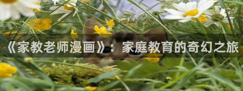 哈哈漫画韩漫大全免费观看