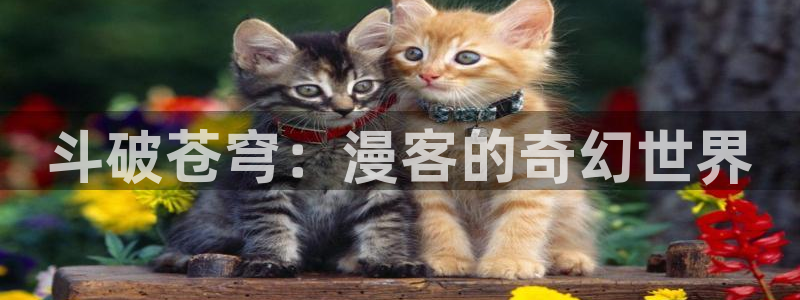 韩漫网页版入口