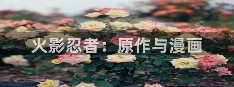 歪歪漫画韩漫观看步骤