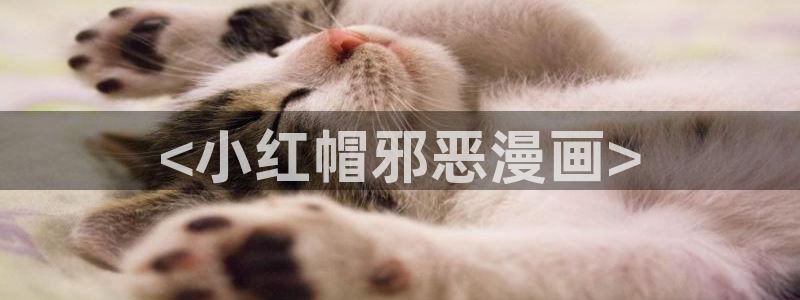 韩漫日漫在线免费