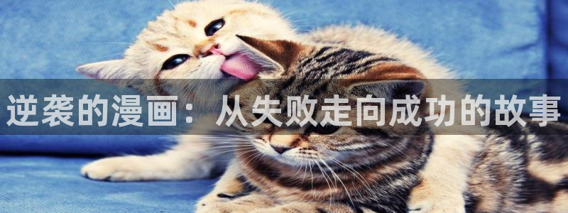歪歪漫画韩漫免费无：逆袭的漫画：从失败走向成功的故事