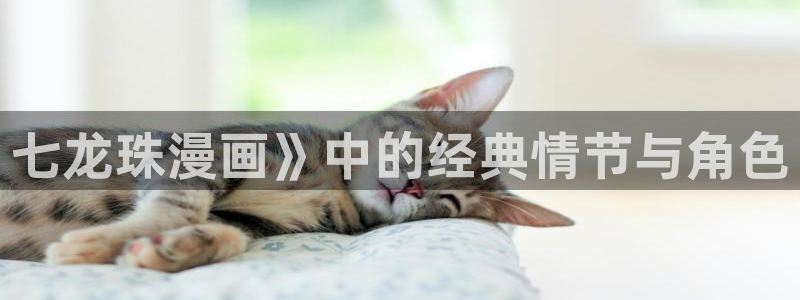 免费的韩漫：七龙珠漫画》中的经典情节与角色
