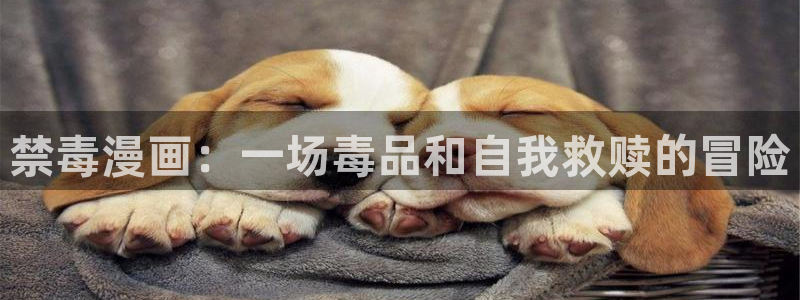 韩漫免费观看下拉式漫画入口：禁毒漫画：一场毒品和自我救赎的冒险